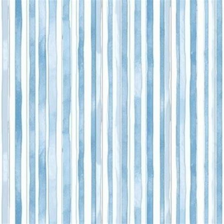 A blue and white striped shirt.
