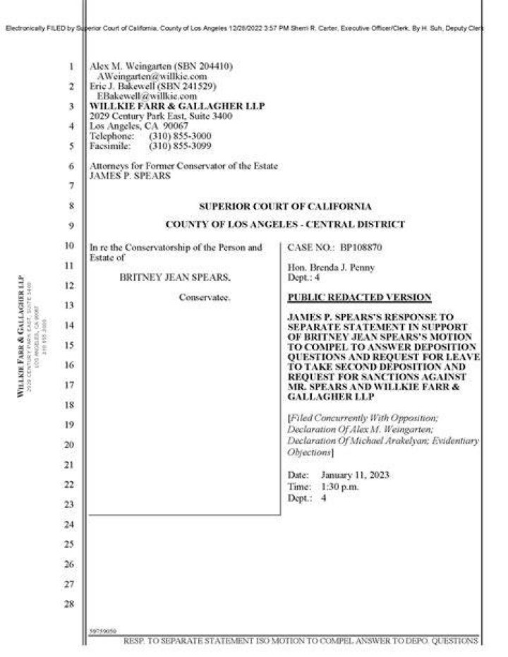 Britney Spears court documents