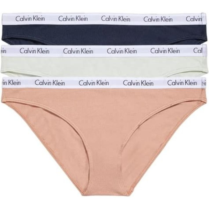 Calvin Klein Carousel Logo Bikini Panties