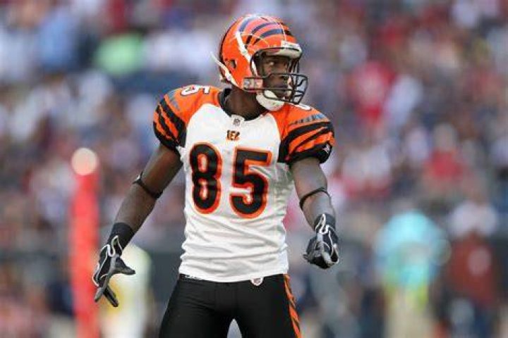 Chad Johnson 32 years
