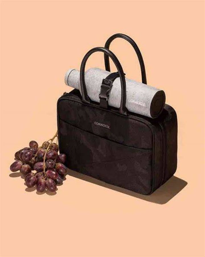 Corkcicle Baldwin Boxer Lunch Bag, $39.95, Corkcicle.com