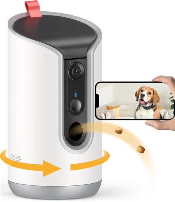 dog camera 