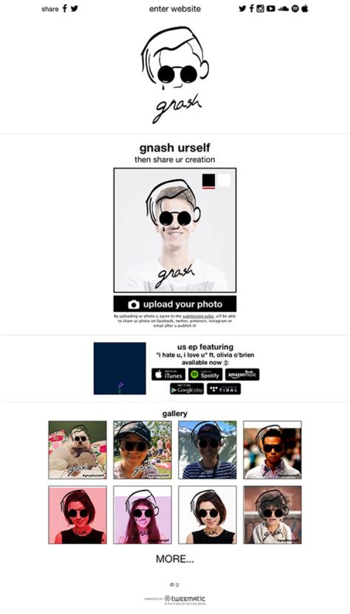 gnash-1