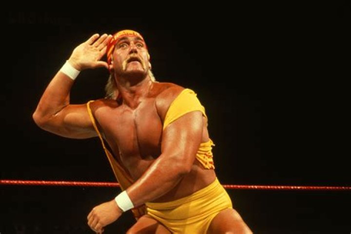Hulk Hogan Hulk Hogan