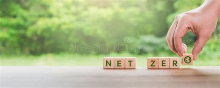 &lsquo;Troop Zero&rsquo;