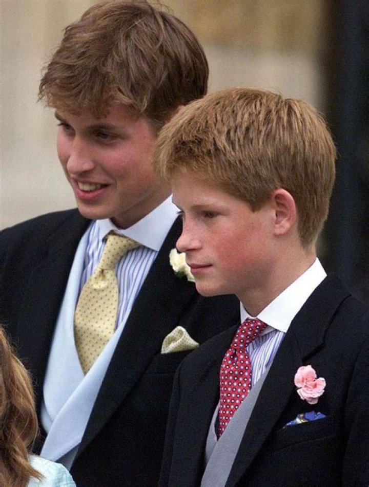 Prince William and Prince Harry