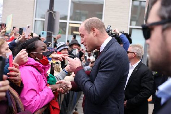 Prince William greets a crowd of people