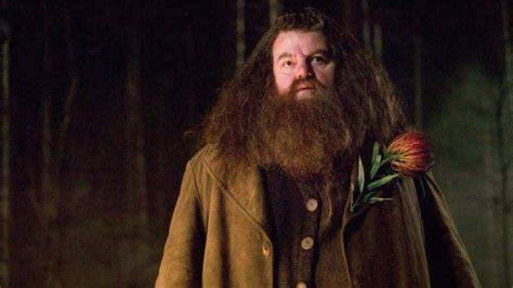 Robbie Coltrane at &lsquo;Harry Potter and The Deathly Hallows: Part 2&rsquo; premiere