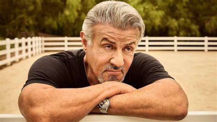 Sylvester Stallone Sylvester Stallone