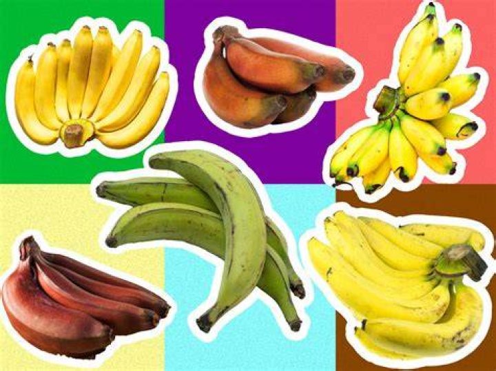 The Banana