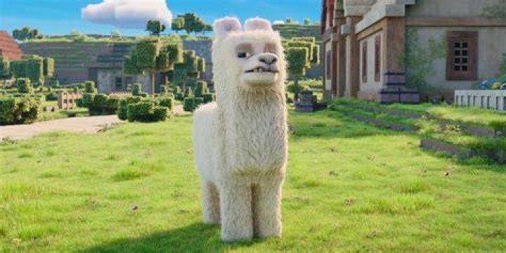 The Llama