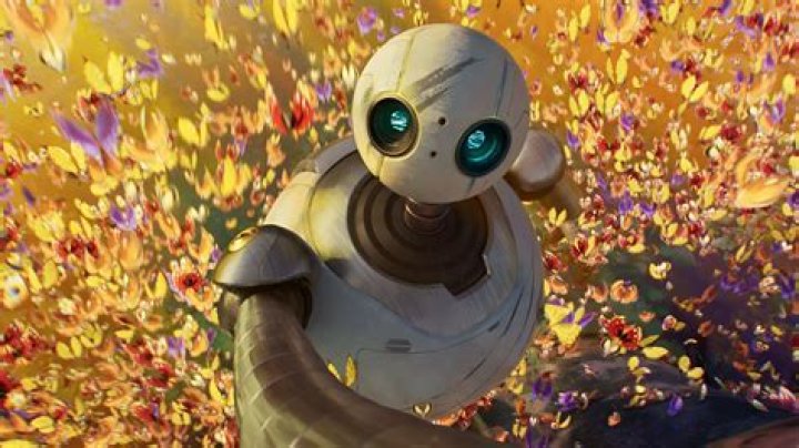 The Robot