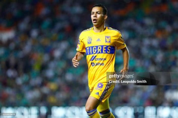 tigre-uanl