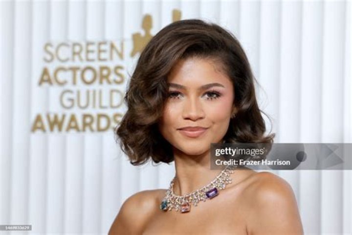 Zendaya 29th Annual Screen Actors Guild Awards, Arrivals, Los Angeles, California, USA - 26 Feb 2023